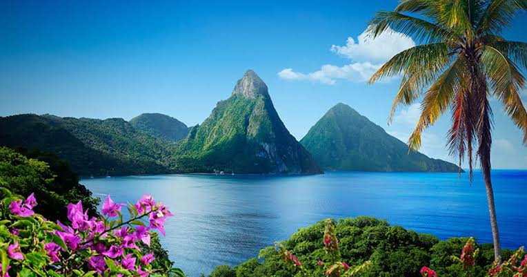 Saint-Lucia.jpg