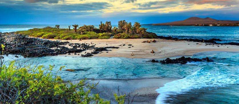 The-Galápagos-Islands.jpg